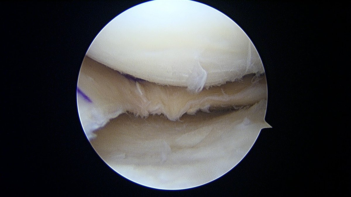 Jimmy Ng tweet media