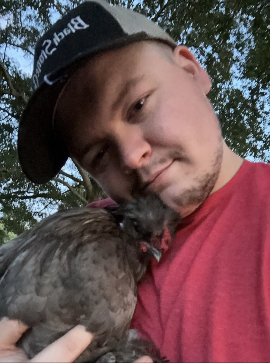 Went and spent time with my boy link. Tucked him into bed and everything! His an ass sometimes but when I hold him…. He always cuddles! #silkiechickens