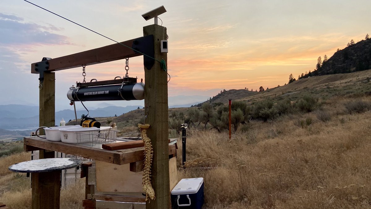 jeffrey_ventre's tweet photo. Doing fire mitigation in the #Okanogan #EagleBluff Wildfire - Check out This #BlackWidow @LobergEric @ChicaMaps @Sam10k #WeedEating #yurt @BlackGrenadeEnt @B_GRENADE https://t.co/3bolqrlrHN