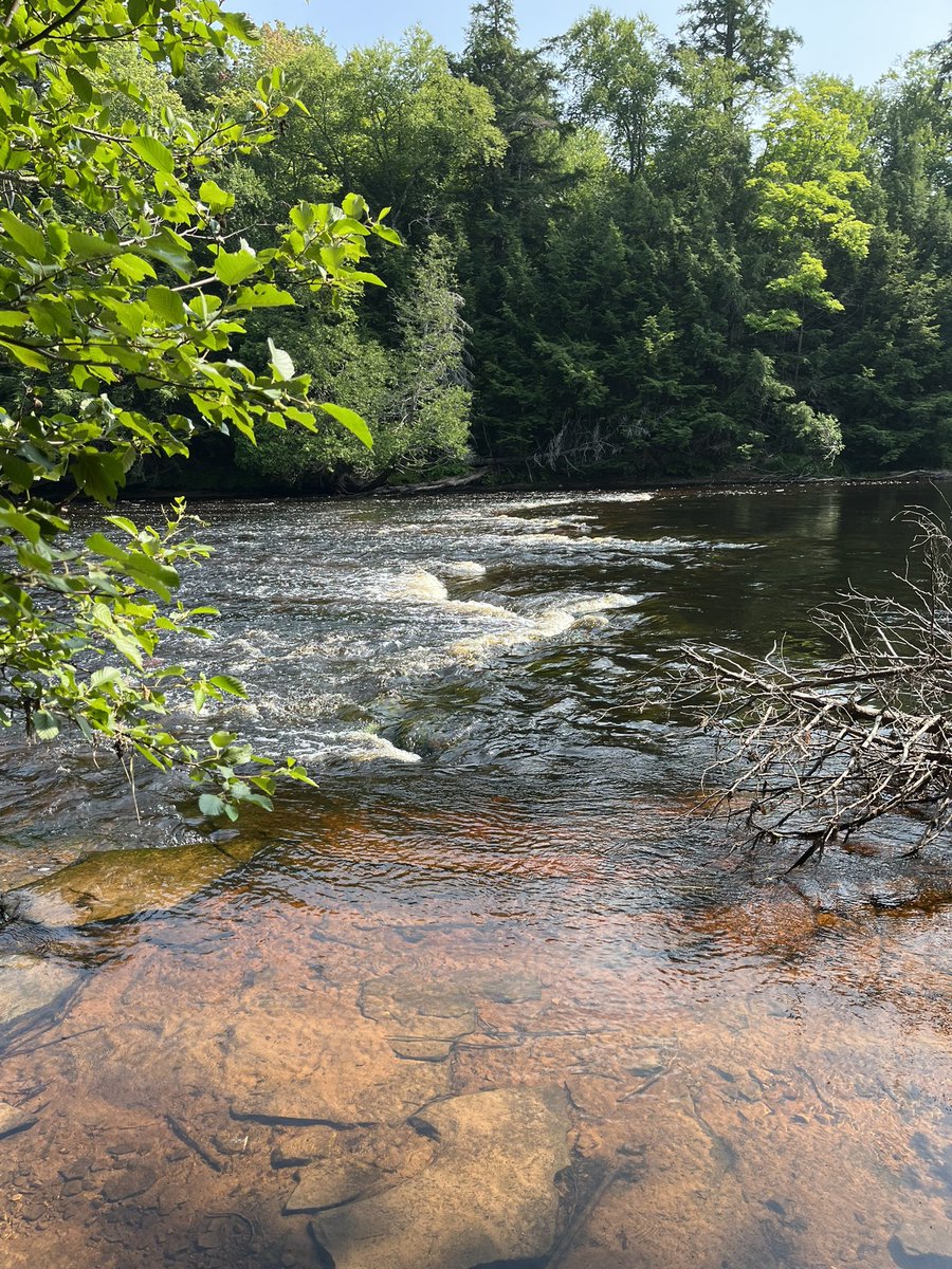 Tahquamenon River - Hike from the upper falls to the lower falls (about 4-5 miles)
#UP23 #Michigan2023 #SummerVacation2023