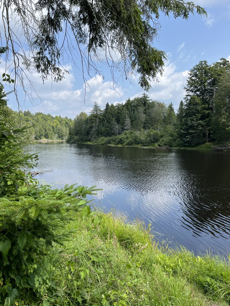 seavt2008's tweet photo. Tahquamenon River - Hike from the upper falls to the lower falls (about 4-5 miles)
#UP23 #Michigan2023 #SummerVacation2023 https://t.co/WLf0mm2sdK