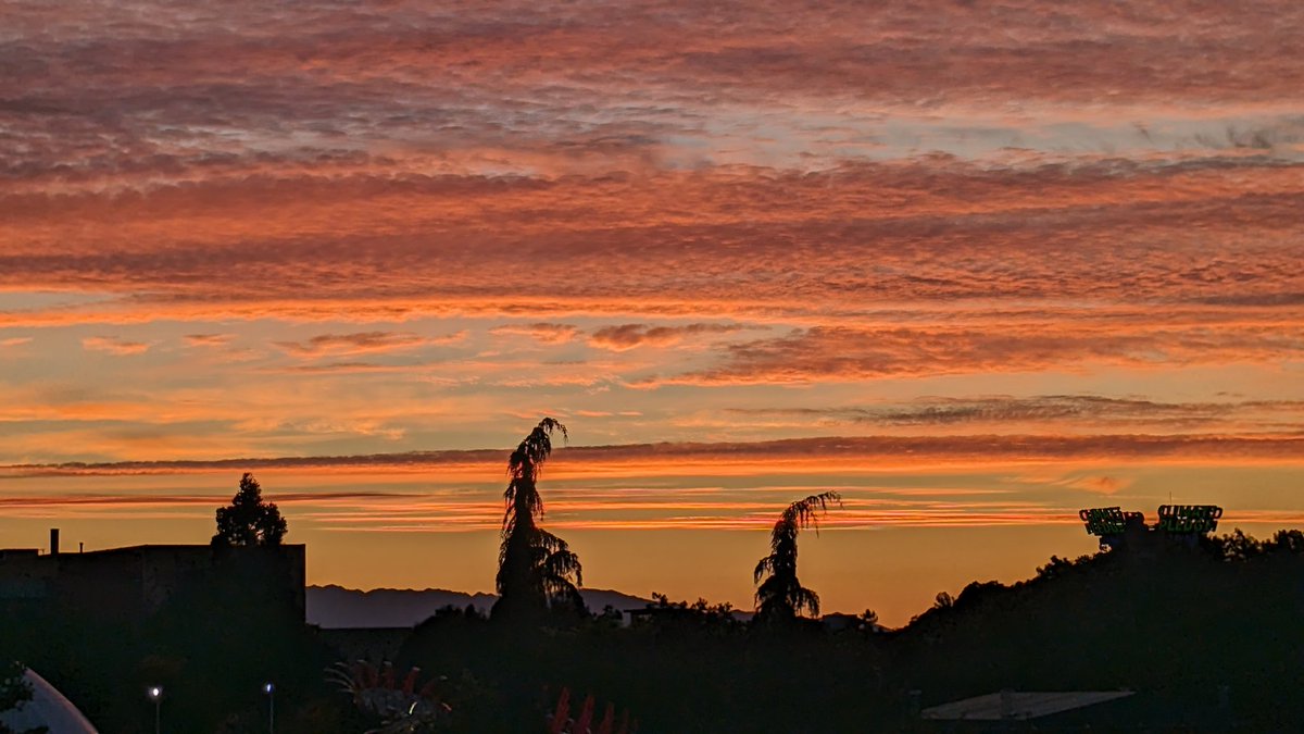 Niko Tamurian tweet media