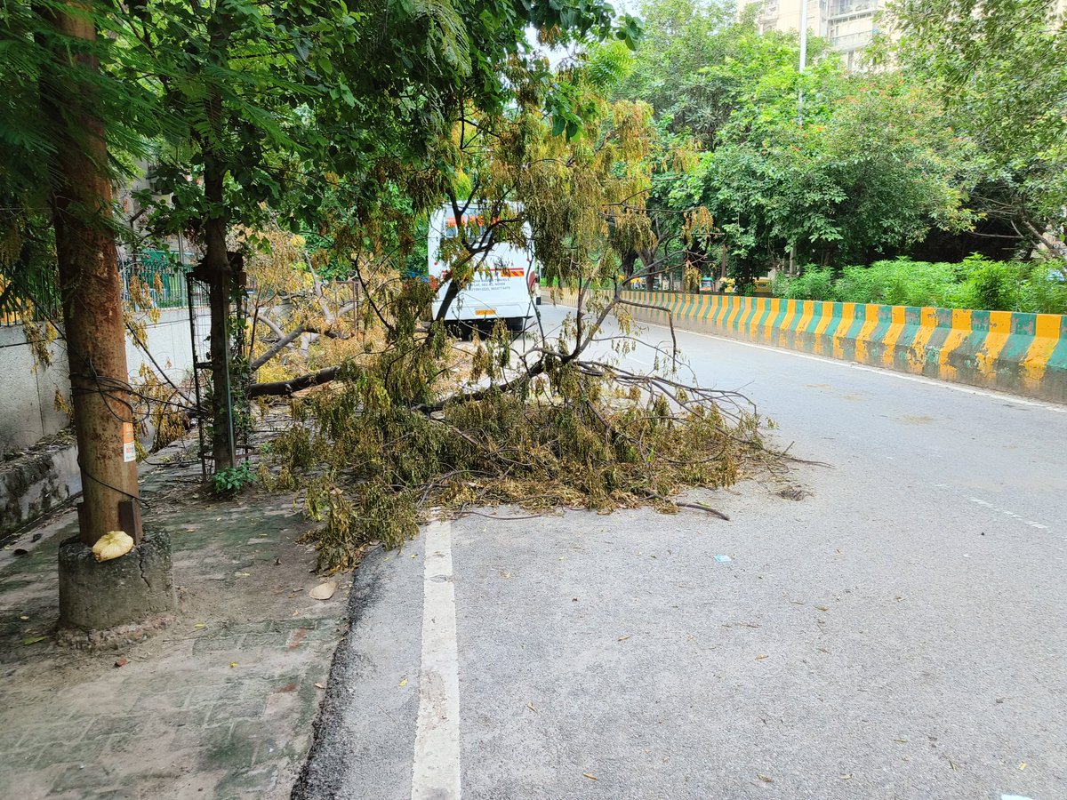 PawanSinha17's tweet photo. Cut / broken trees are blocking the road opposite Green View Apartment and Vivek Vihar AWHO Gate 2, Sector 82, Noida. Please have them removed @CeoNoida @noida_authority @noidatraffic https://t.co/svNYMzNPrL