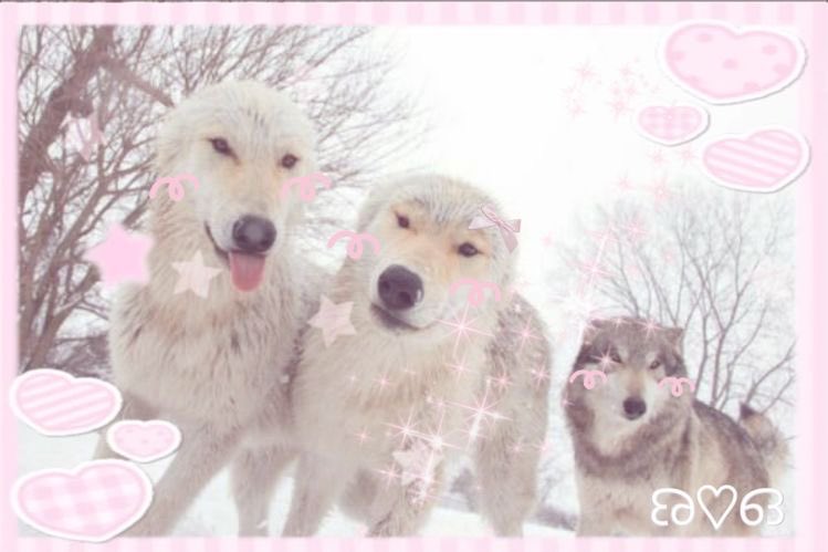 linkl0ver's tweet photo. https://t.co/RLW4W0FwO4