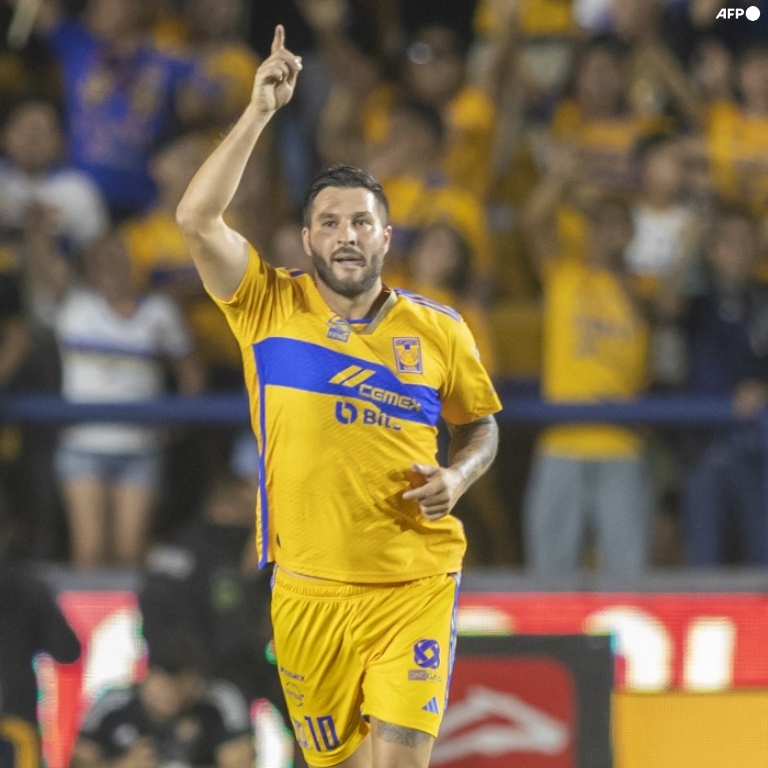 Este señorón ha marcado ¡¡189 GOLES OFICIALES!! con la camiseta de Tigres. Bendita la hora en la que tomó la decisión de llegar al club de San Nicolás de los Garza. Un regaló para Nuevo León y para toda la Liga MX. NUESTRO SER DE LUZ.