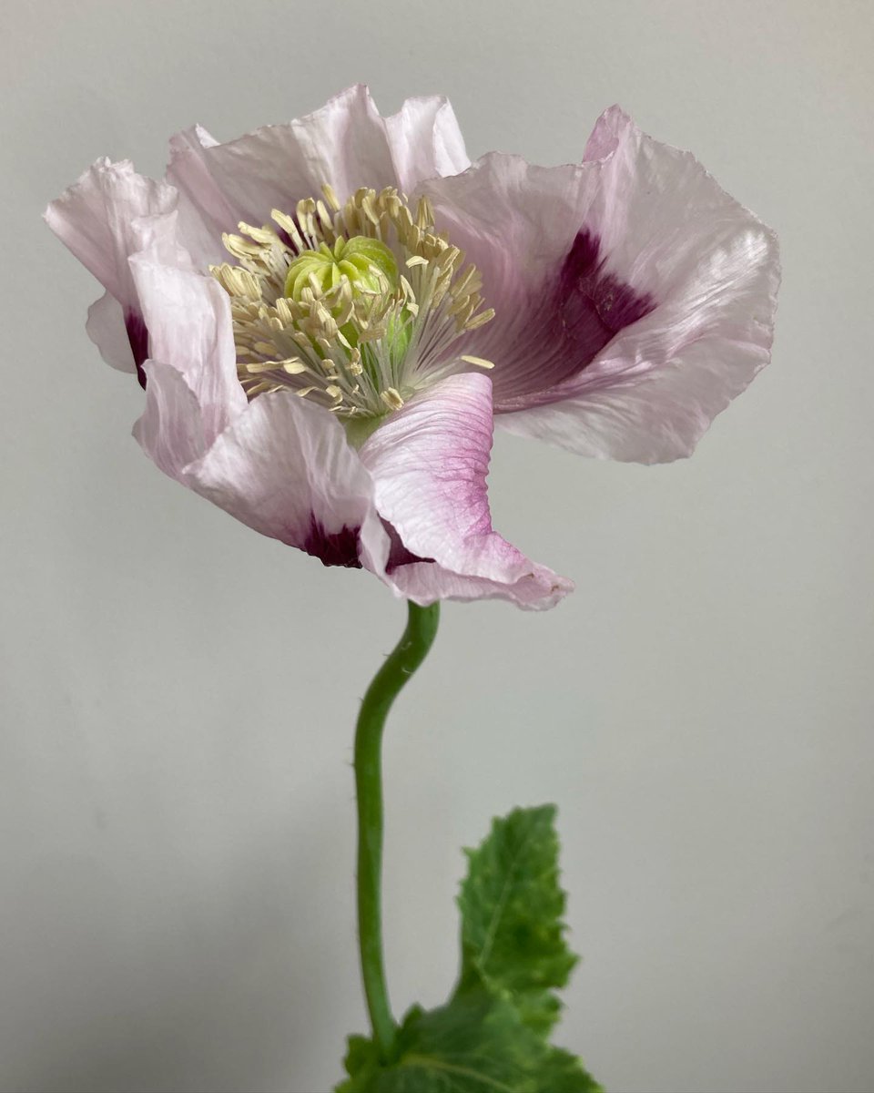 Stephanie (@stephan01wqqych) on Twitter photo 