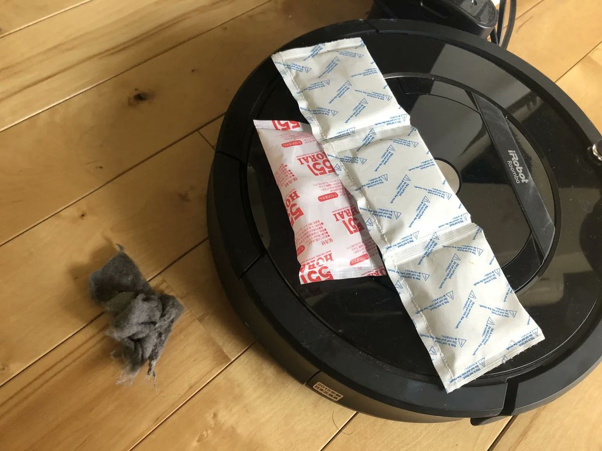 【ルンバがスズメバチを食った記録】

ブオンッッッッ！

オンライン会議中、
視界の隅をなにかが横切った。

窓が開いたままだった。

ブオンッッッ！
玄関でまた、風を切り裂く音。

カナブンだろうか。
バッタだろうか。
暖かくなったんだなあ。

「何か来たんで、ちょっと見てきます」