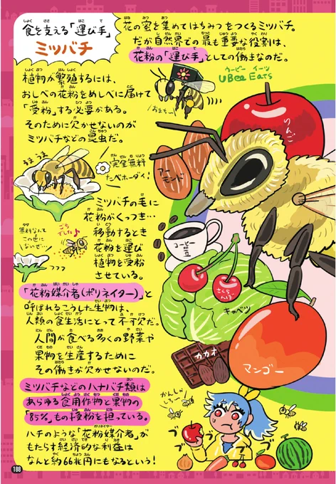 ハチミツも大事だが、それをはるかに上回る規模で、ミツバチは人間の食生活にとって欠かせない生物。なぜなら「花粉媒介者(ポリネイター)」としての役割を担っているから。ミツバチ含むハナバチ類は、あらゆる作物や果物の「85%」の受粉を手掛けてくれている。拙著『ゆかいないきもの超図鑑』より 