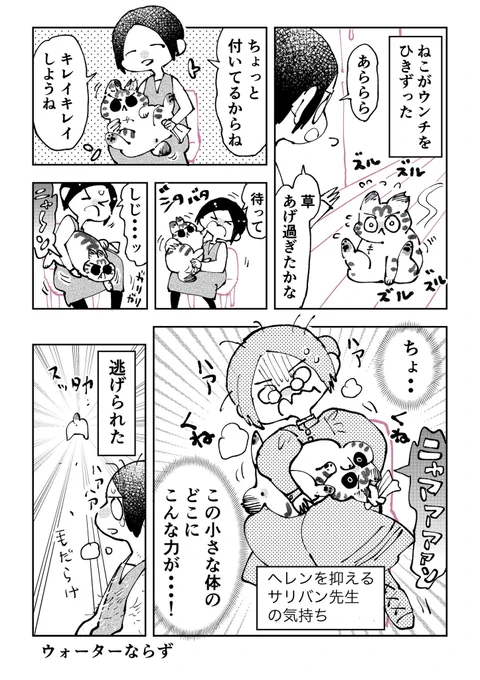 3本足のしじみちゃん205