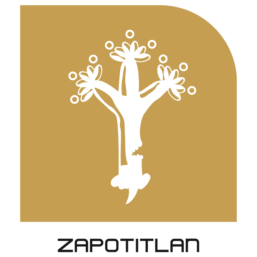 arbolescdmx's tweet photo. Zapotitlán (Línea 12)
El ícono, tomado del Códice de los Tributos, representa un árbol de zapotes con frutos y unos dientes en el tronco (que representan la terminación 'tlan') que componen la palabra Zapotitlán, cuyo significado es "Entre árboles de zapote" https://t.co/YEyGtHcczW