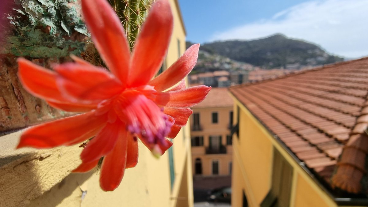 luisalimo (@luisalulimo) on Twitter photo 