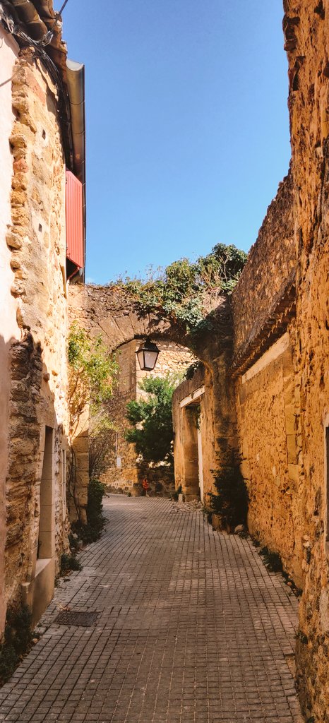 Visit the Harmas Jean-Henri Fabre <a href="/HarmasJHFabre/">HarmasJHFabre</a> , an MNHN <a href="/Le_Museum/">Muséum national d'Histoire naturelle</a> site in the south of France (Vaucluse). A look back at the history of this patient entomologist and his botanical garden accompanied by the song of cicadas 
( I even saw some bamboo 😏 )