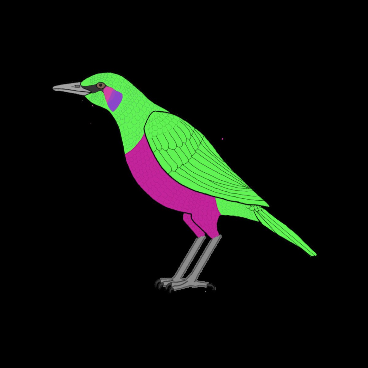 ognimdo2002's tweet photo. Name of the iconic four

Superb starling
Rook
Emerald starling
Remastered Archie Buenaventura and Isabella Morrison for #worldprincessweek.

#starling, #rook, #2020art, #art2019, #artph, #ibisPaintX, #nostalgia, #FIFAWWC , #wildlife, #crow, #raven, #art2020, #2019art. https://t.co/MAYuaBGHHh
