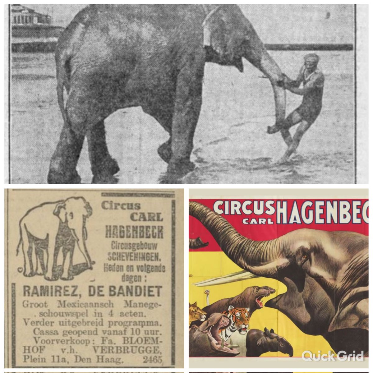 100 jaar geleden, augustus 1923, Circus Hagenbeck in Scheveningen. Van 1918-1932 gebruikte Circus Hagenbeck het circustheater in Scheveningen voor de shows. Foto's collectie @haagsarchief; Nieuwsblad van het noorden, Haagsche Courant, collectie @DelpherNL