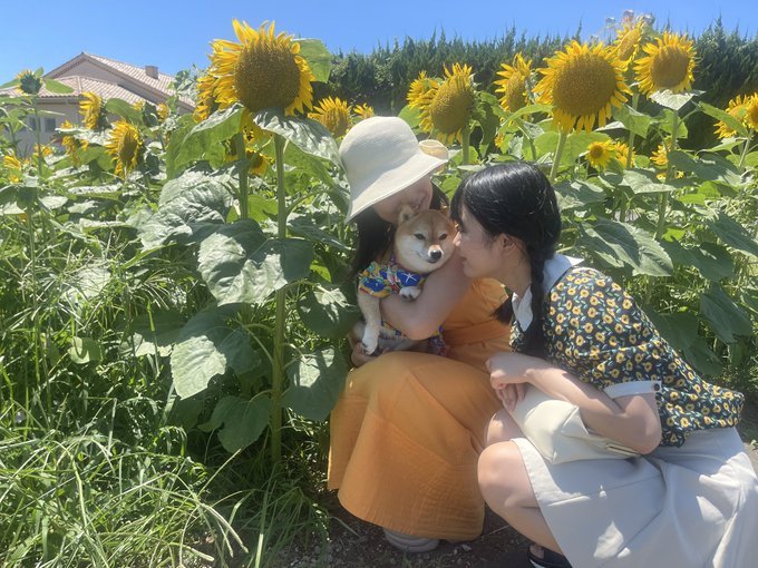 石上ひなののTwitter画像34
