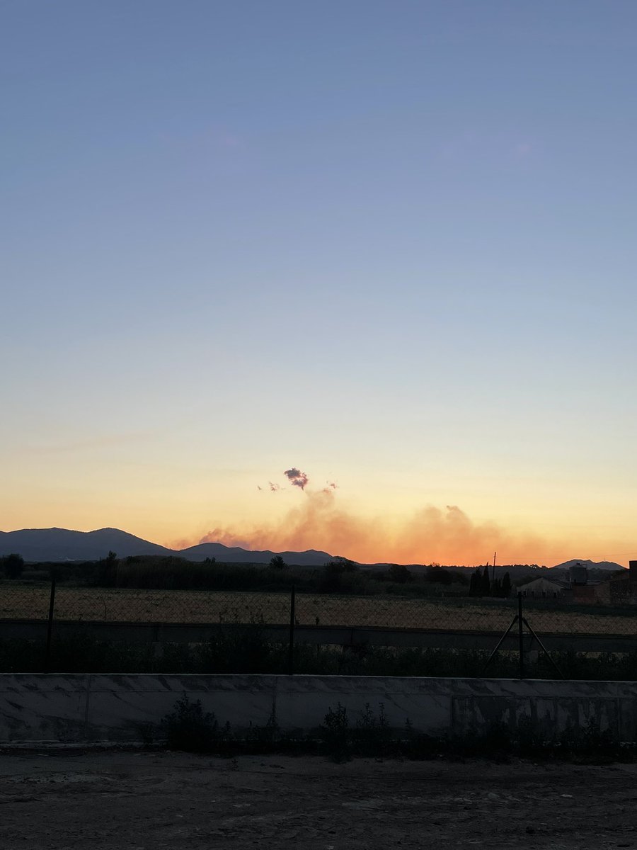 Donant el menjar a les vaques amb el cor encongit veient com continua cremant l’incendi💔 #IFPortbou