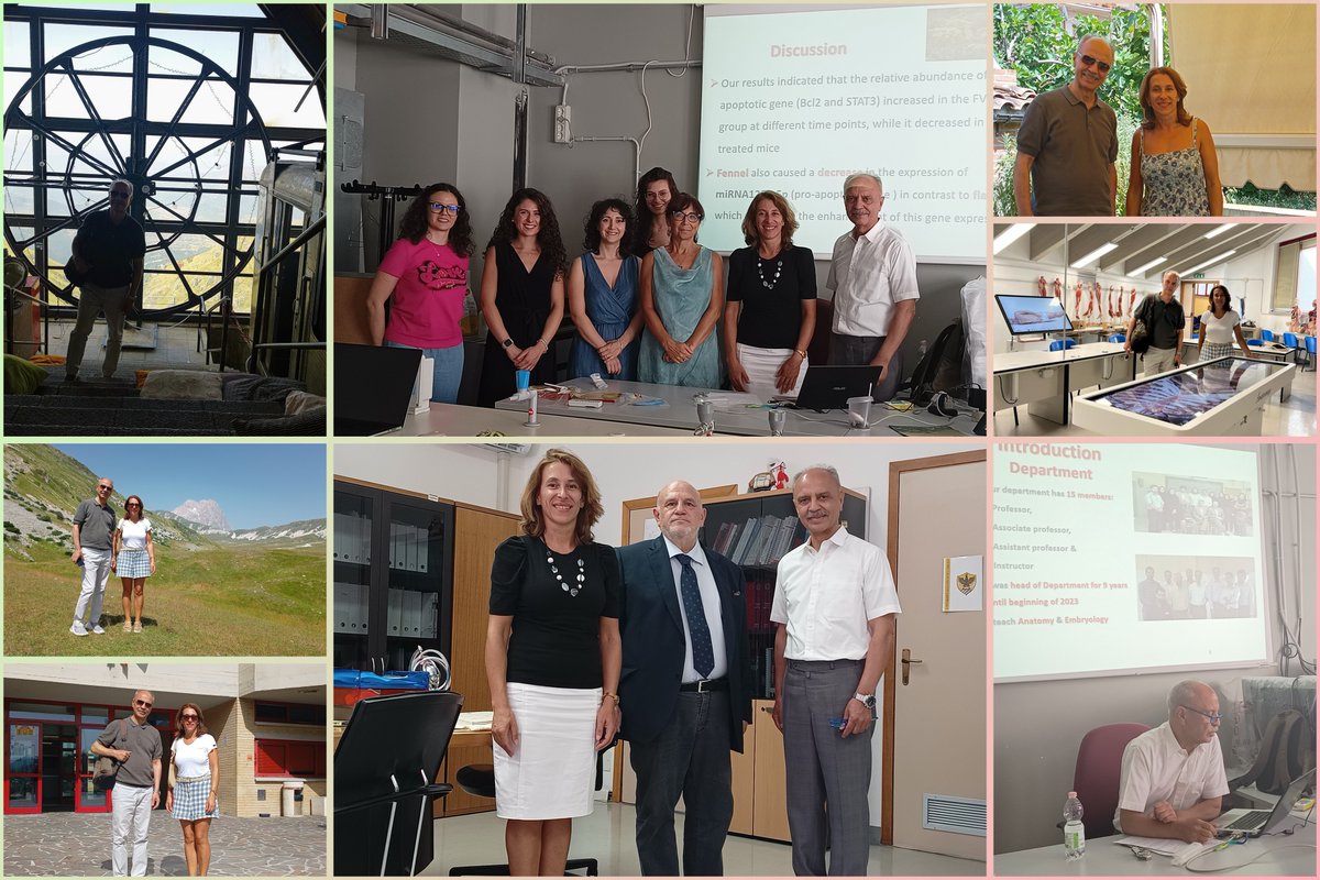 Maria Grazia Palmerini - Reproduction, Anatomy tweet media