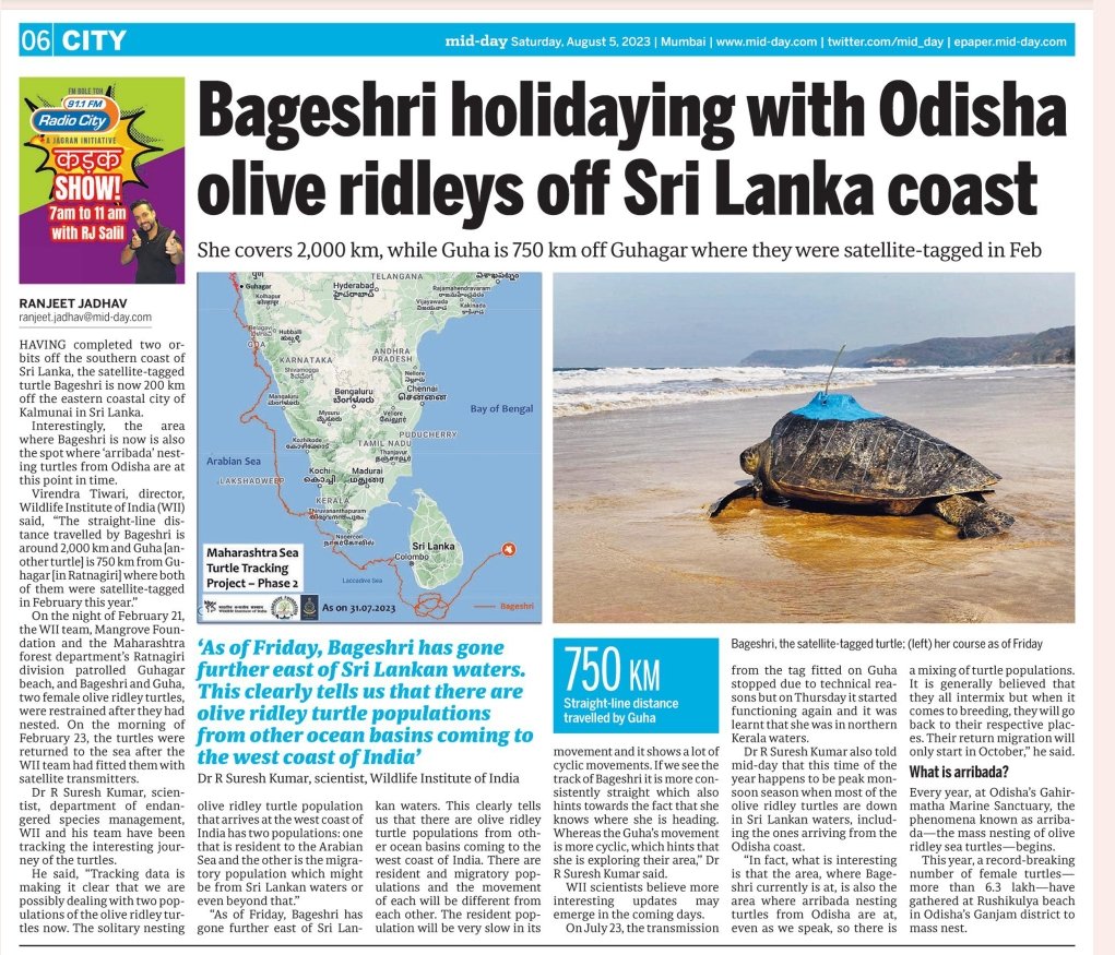 ranjeetnature's tweet photo. Bageshri holidaying with Odisha olive ridleys off Sri Lanka coast.

https://t.co/aojv4xWaqe

#Bageshri #OliveRidley #turtle  
@ranjeetnature
@sureshwii 
@wii_india https://t.co/WwHJ5r9YCO