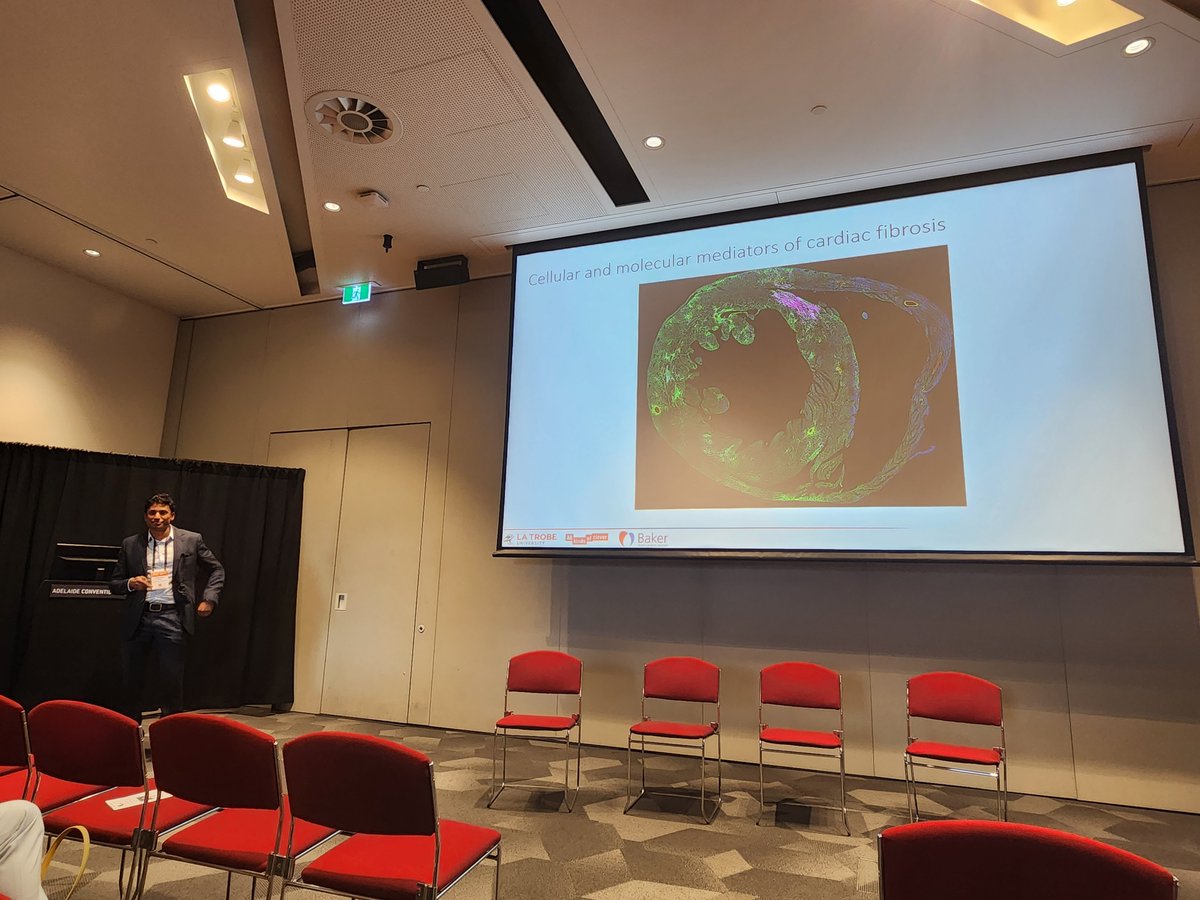 ISHR_AUS's tweet photo. Our final speaker in the #CSANZ2023 genetics session is @Alex_R_Pinto talking about high resolution mapping of cellular and molecular mediators of cardiac fibrosis #singlecellRNA @ISHR_AUS @thecsanz @BakerResearchAu @pinto_lab https://t.co/DTxa6pvlrB