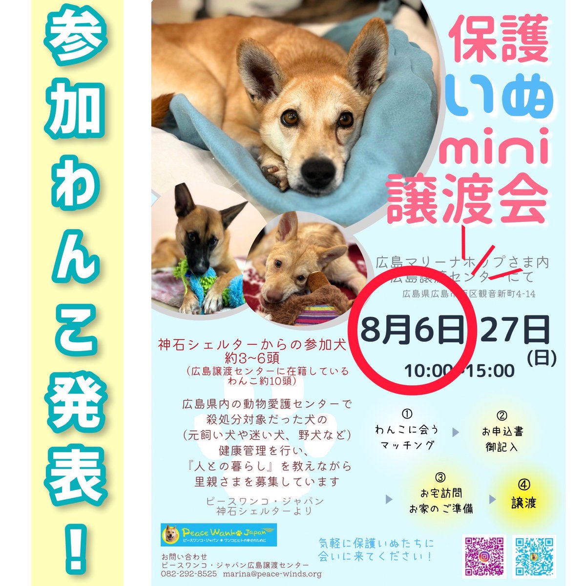 pwj_hiroshima's tweet photo. 🐕‍🦺15頭の保護犬に会えるmini譲渡会🌱
神石シェルターからの参加わんこ 5頭 を発表！✨
(2頭はリプ欄をご覧下さい)
ご来場お待ちしております🎵
https://t.co/SColI58xpx
ご予約も可能です🙆🏻‍♀️ https://t.co/2WYLi6Rbiq