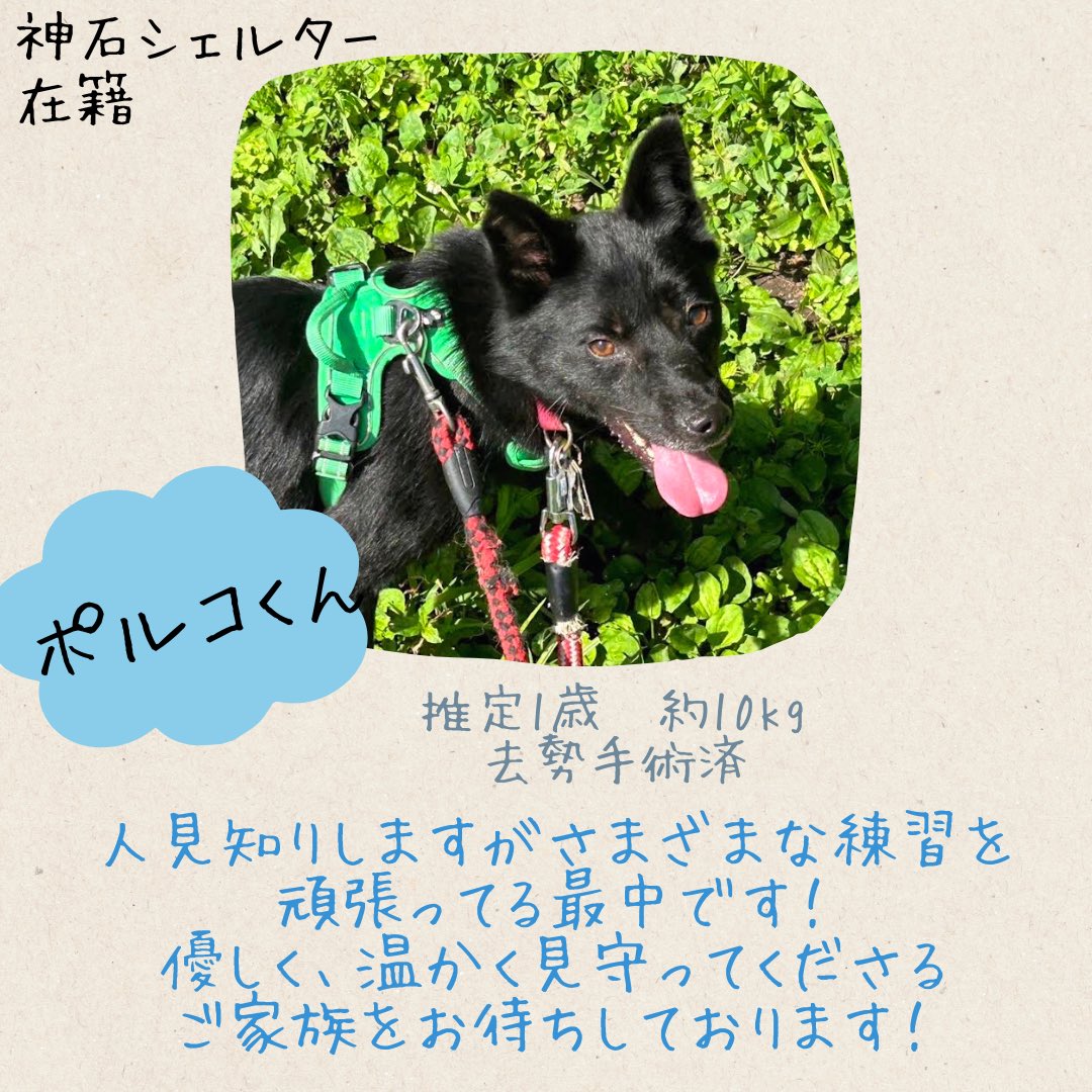 pwj_hiroshima's tweet photo. https://t.co/UywB6aisfS