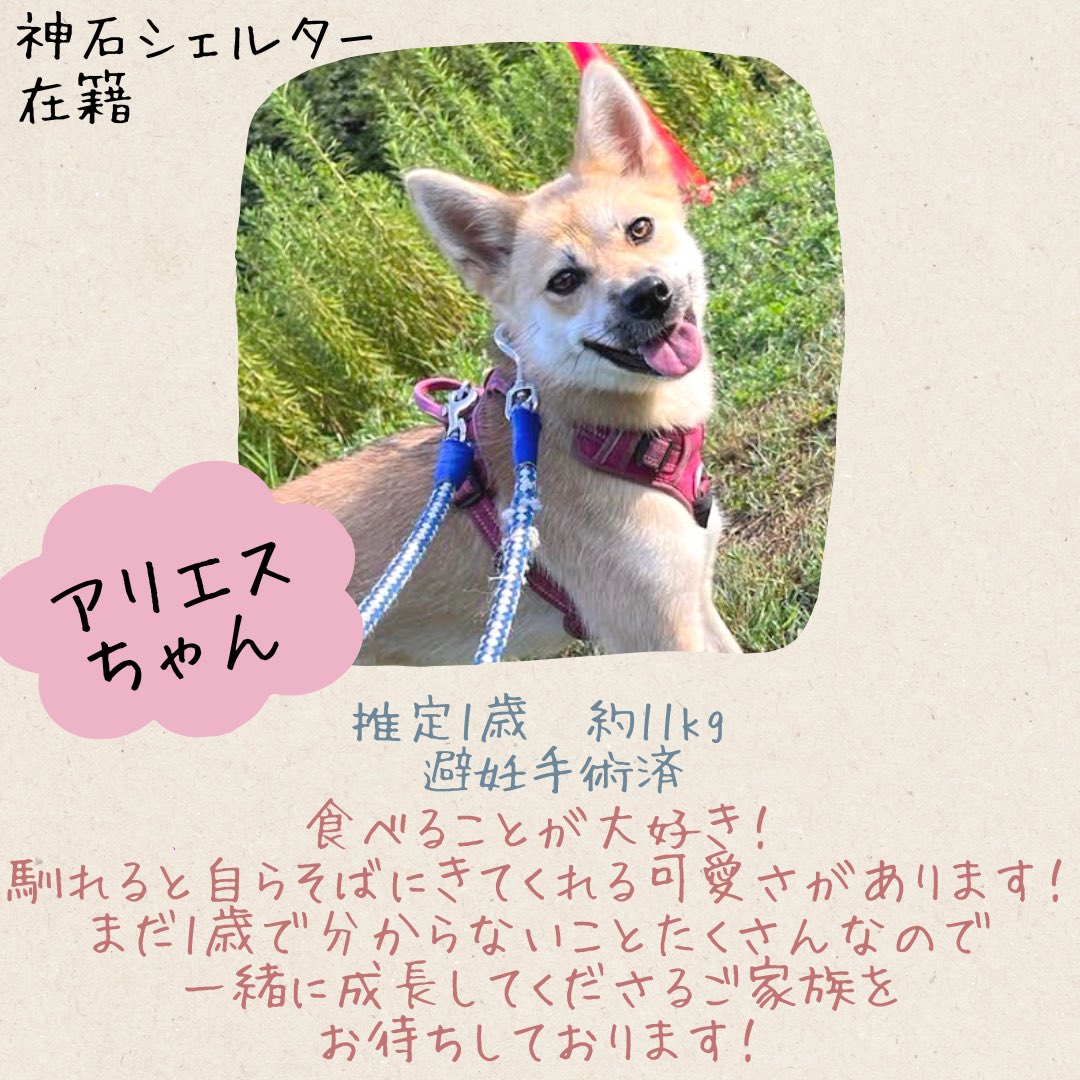 pwj_hiroshima's tweet photo. https://t.co/UywB6aisfS