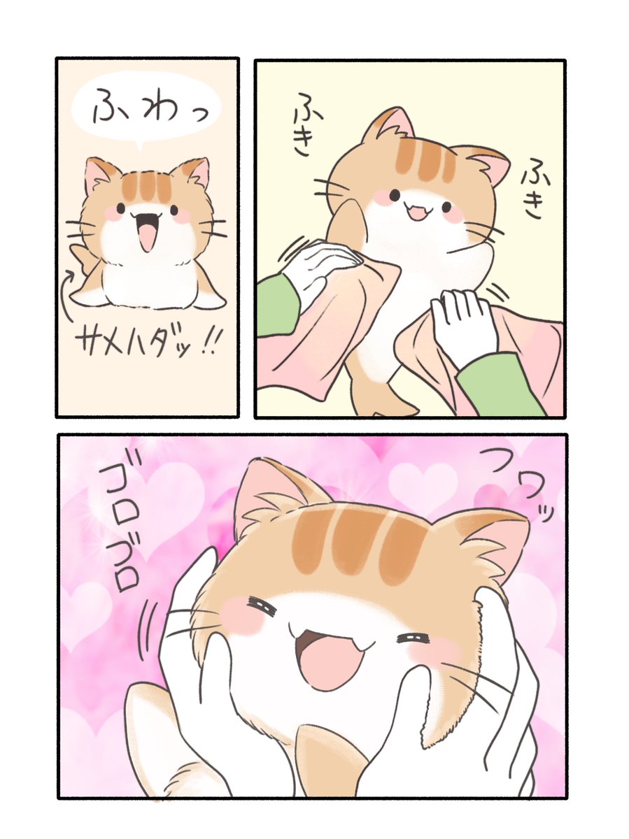 ネコざめ漫画1～3