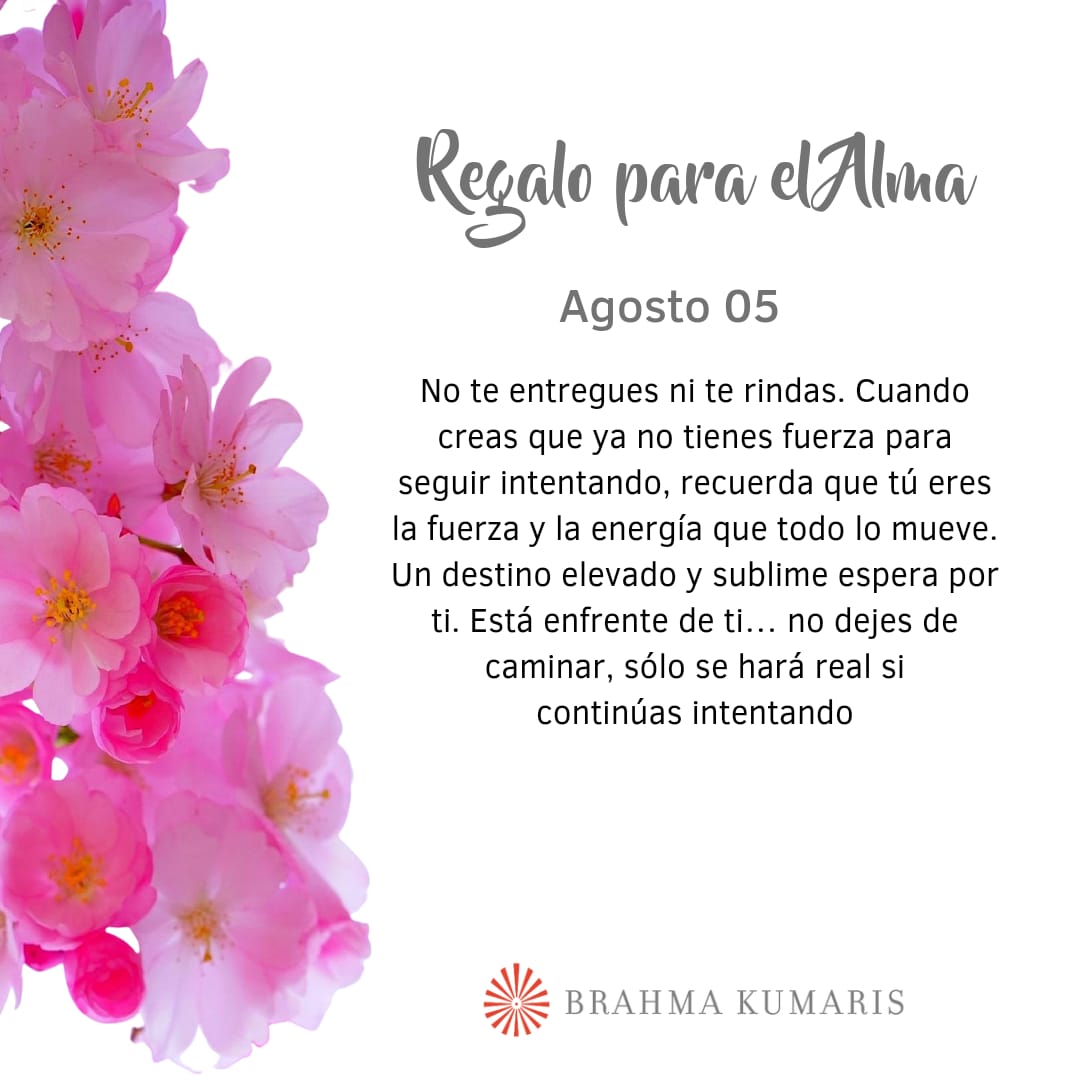 Ruben Duque (@rubendu72372138) on Twitter photo 