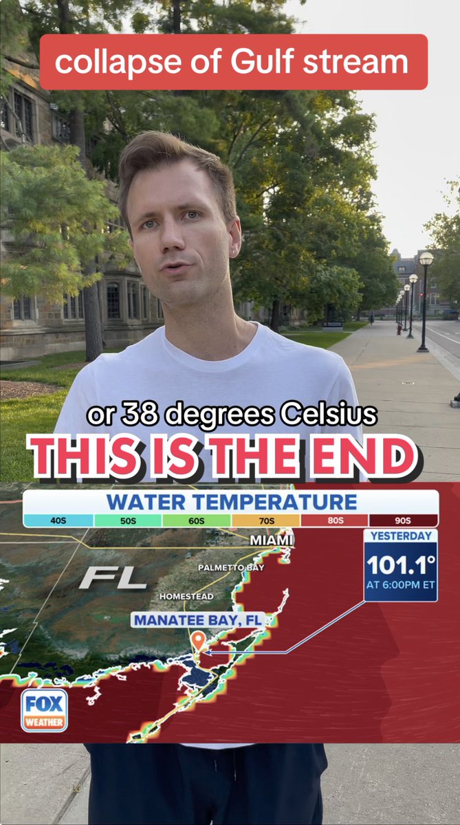 taliysky's tweet image. Collapse of #gulfstream #floridawater #creativesociety #globalcrisis #putnik #chelyabinsk