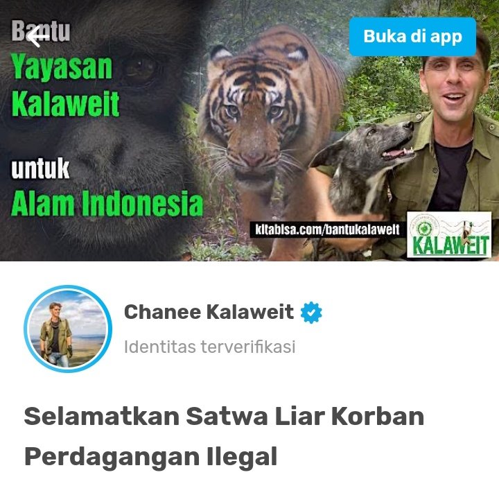 yang jahat dari logical fallacy ini adalah, diluar sana masi banyak orang yang anggap omongan ini benar.

padahal mutlak salah.
satu kesalahan, ga bisa mendapat porsi benar, hanya karena terlihat benar.

kakak-kakak di konservasi udah berupaya cukup maksimal luangin waktu dan