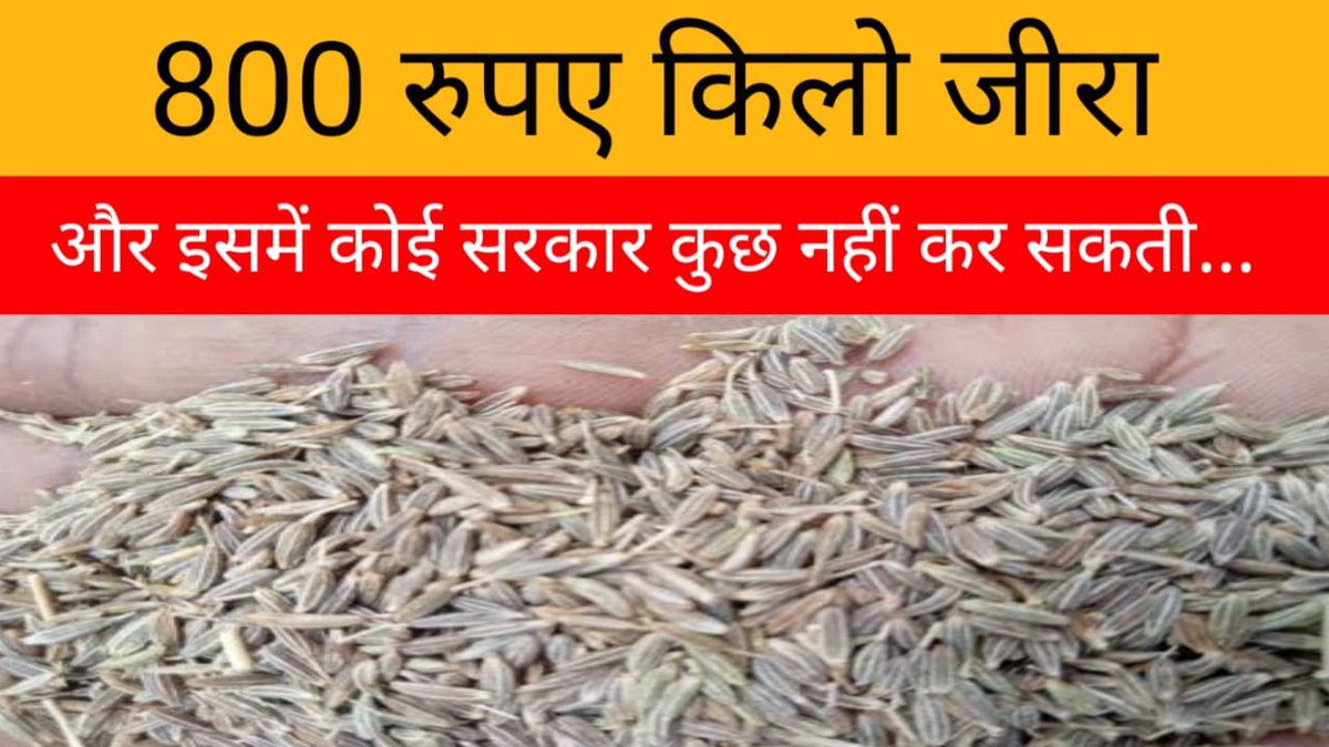 HINDWIRENEWS's tweet image. सब्जी में अब जीरा भी नहीं रह जाएगा ? | TopNews
पूरा वीडियो देखिए :  youtu.be/XAMrploRCCM
#jeera #mandi #fasal #price #export #jeeraprice #cuminSeeds #commoditymarket #BJP #pmmodi #amitshah #India #PradeepBhandari #HindiNews #Latestnews