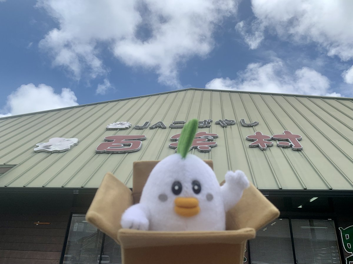 JA_JAtown's tweet photo. ＃じぇー太 のお土産🛍

宮崎県の直売所「百笑村 大塚店」で宮崎牛と豚のカレーをGet😋
フォロー&amp;このツイートをRTすると抽選で1名様にプレゼントしちゃうじぇ〜🌟

詳細👉https://t.co/QWnHruZyMQ
〆切👉2023/8/12

#JAタウン 「宮崎経済連直販ショップ アパス」でも販売中🍛
https://t.co/q40FK7OXQr https://t.co/McYv8alpXg