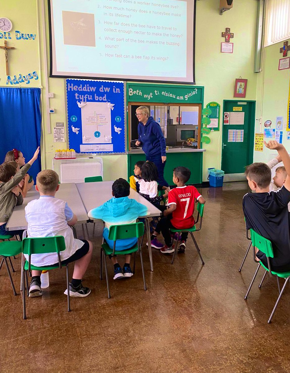 Illtyds_RC's tweet photo. #BCAFoodAndFun23
#Day9
We had an interesting morning learning all about the importance of #Bees to our food supply with the beekeepers from @VisitCyfarthfa
#WhereWouldWeBeWithoutBees
@healthyschools_ @CTMHealthySch @JanineBrill
@CTMUHBDietetics
@ShelleyPowellRD
@MerthyrCBC https://t.co/A2p8wCNvVI