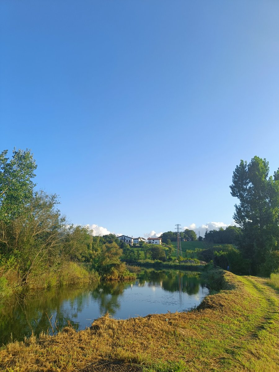 Greta Megroff tweet media