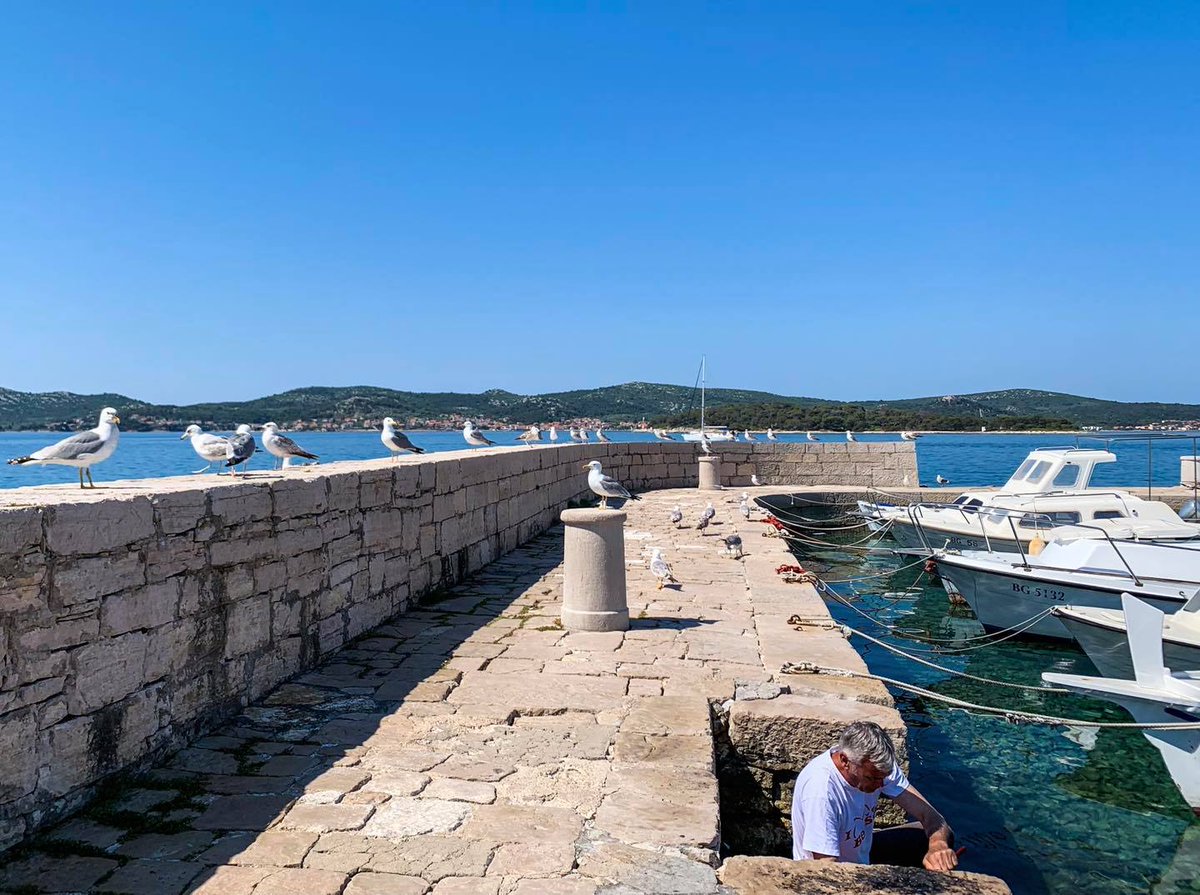 ValToursBiograd's tweet photo. preparing fish for today's lunch
#Biograd #Dalmatia #AdriaticSea #Croatia https://t.co/0cDh5e8eOb