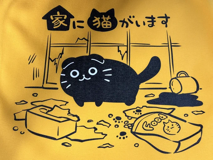 今日の猫!