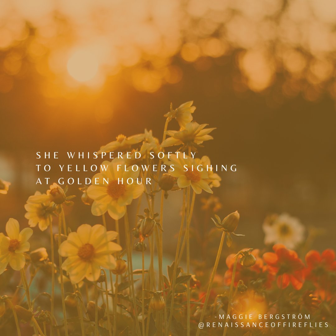 Firefliespoet's tweet photo. 💛🌼🌬️
#writing #WritingCommunity #poetry #flowers #poetrylovers https://t.co/1JOCpoUD4w