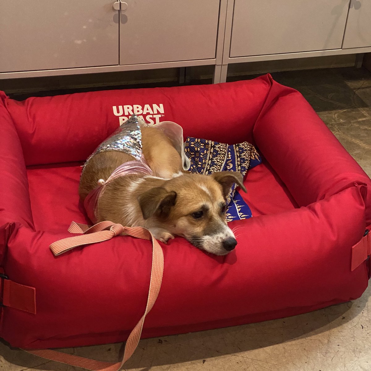 하아… 나에게 이런 옷을… 입히다니…