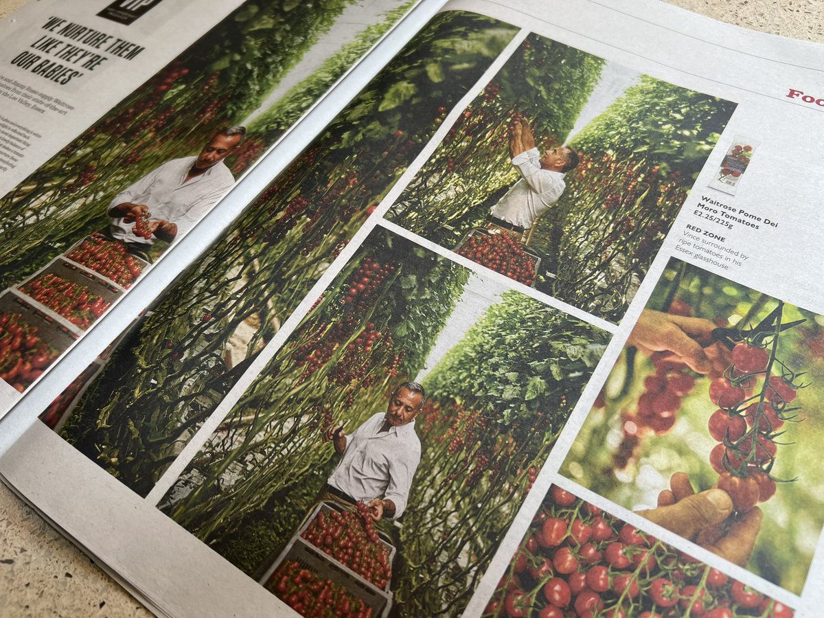 Mike Knowles tweet media