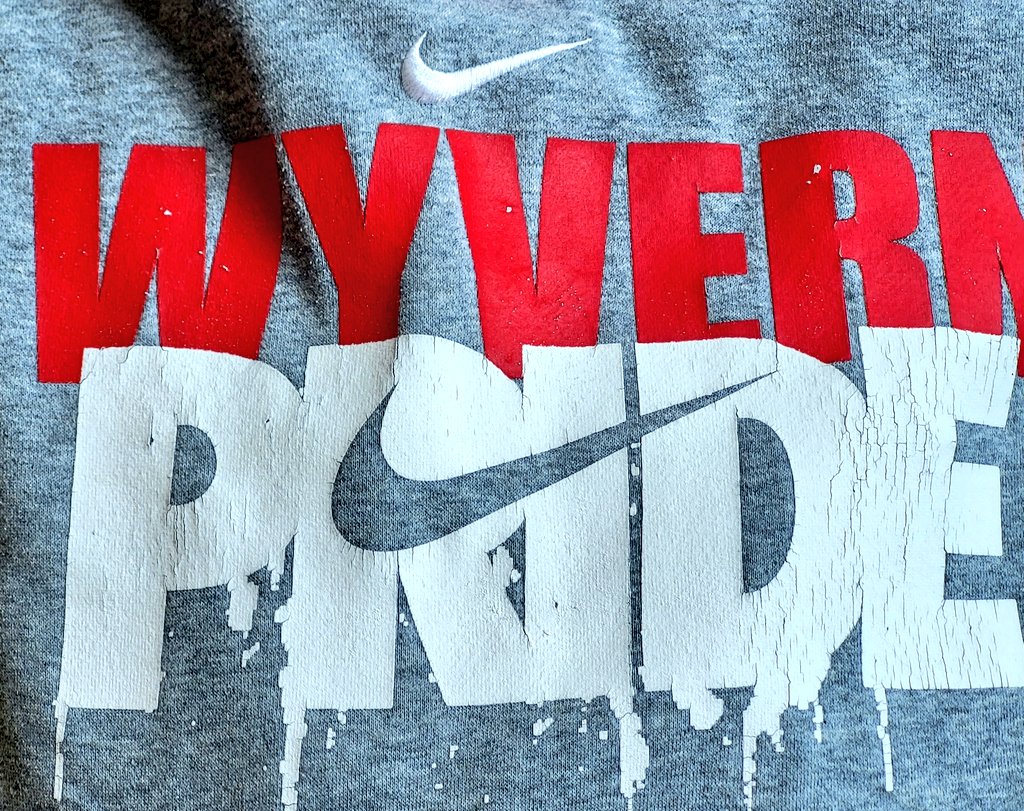 Back to school picnic today at 11! Come early for Wyvern scrimmage action! Boys soccer at 10, Field Hockey at 10:30, Volleyball at 11. Now it gets real. Play Hard! #WyvernPride #HardWorkWorks