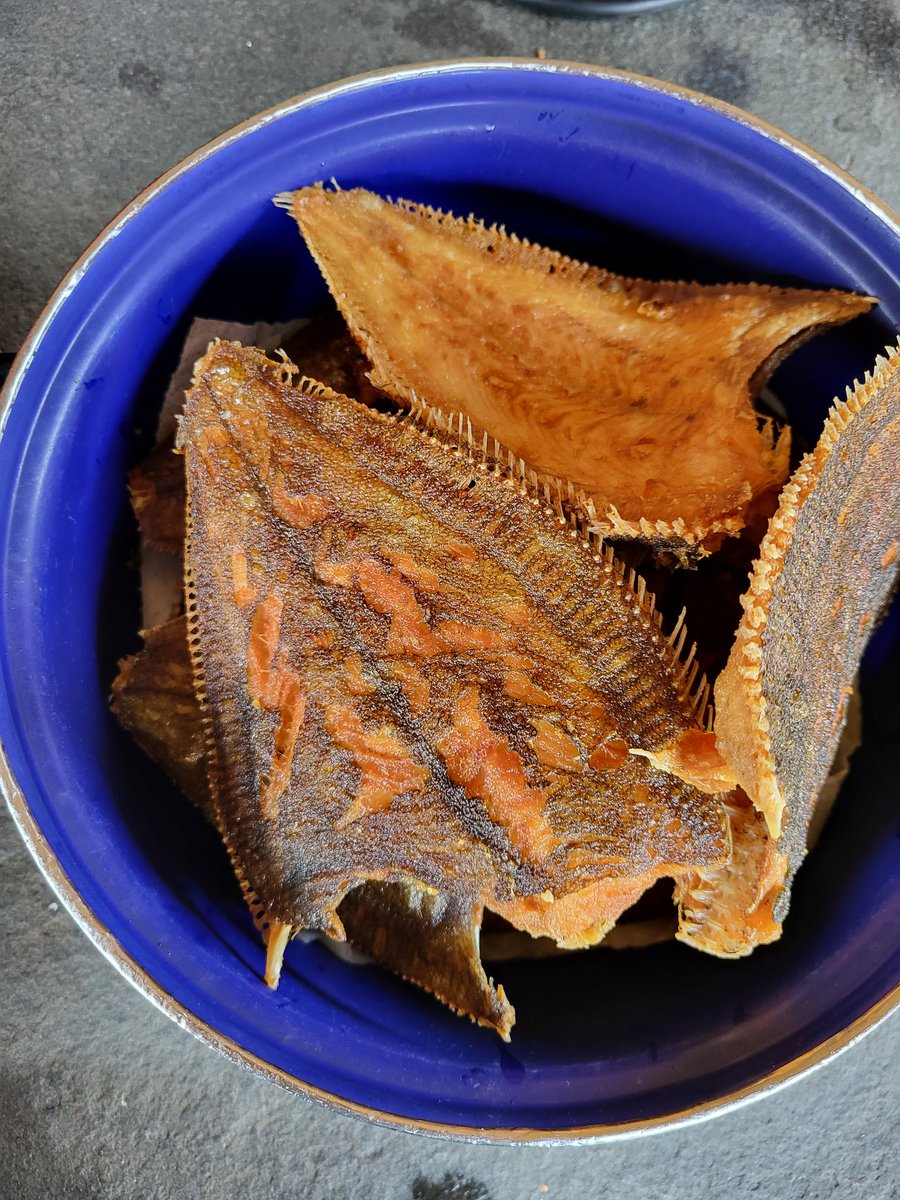 Zoon vist tegenwoordig