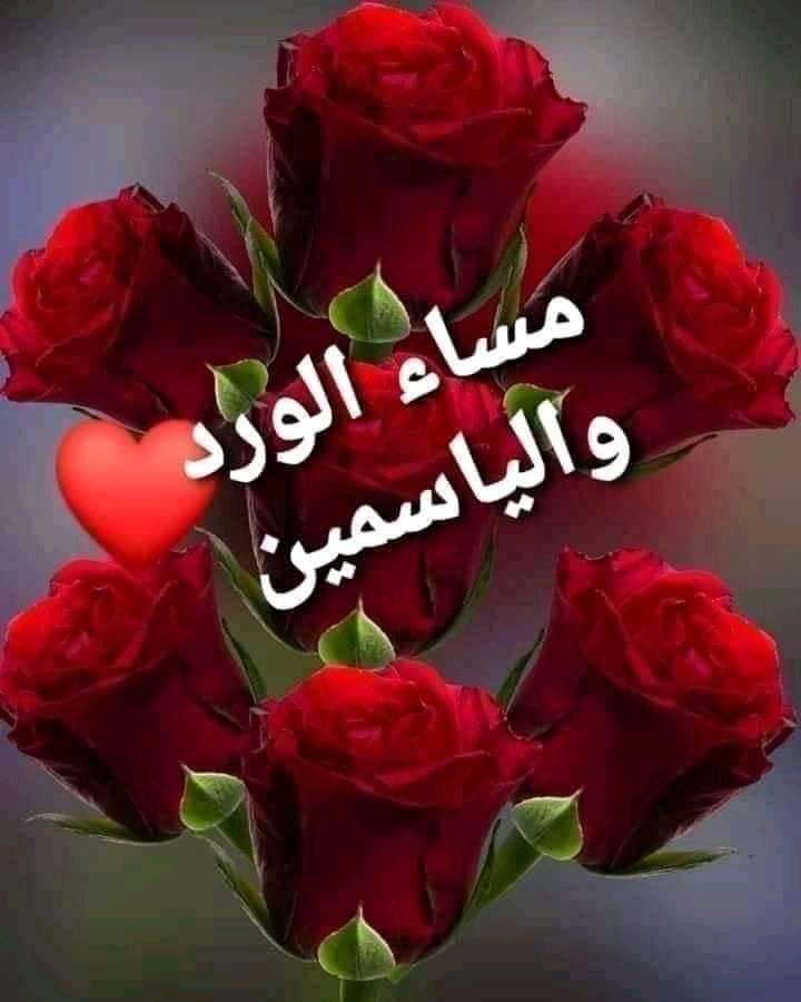 Sindrilla7's tweet photo. @Ruwi_101 .. 

مسـائـڪـ بــَــاقـَّـــه
 مــَــن الــــــَــورد  تــــ؏ـَــطر 
شـــــَّـــذا ايــــــَـامــــَّـگٍ .

... 🌹♥️ https://t.co/HFpjpYi1IU