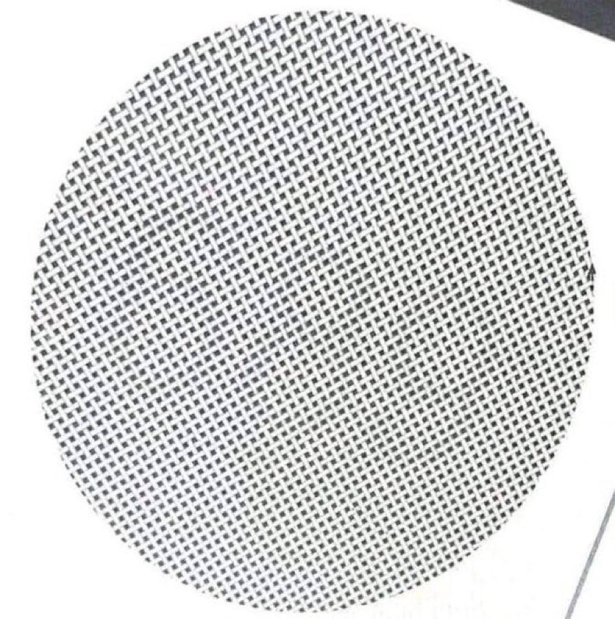 Don 🐂 tweet media