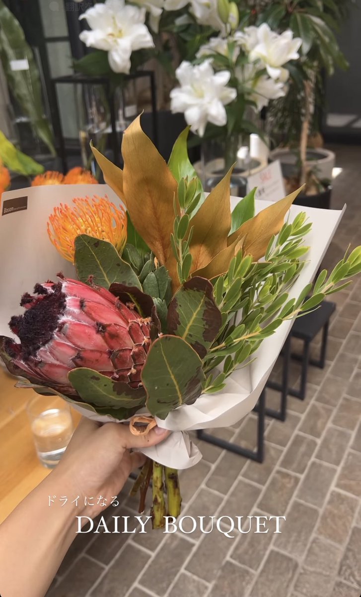 taro_momo2's tweet photo. 花屋がこんな花売ったらアカンやろっ
無茶苦茶キモい
暑苦しいやん
日��は熱帯じゃないよ
#キモい
#暑苦しい https://t.co/pAfxG160Ll