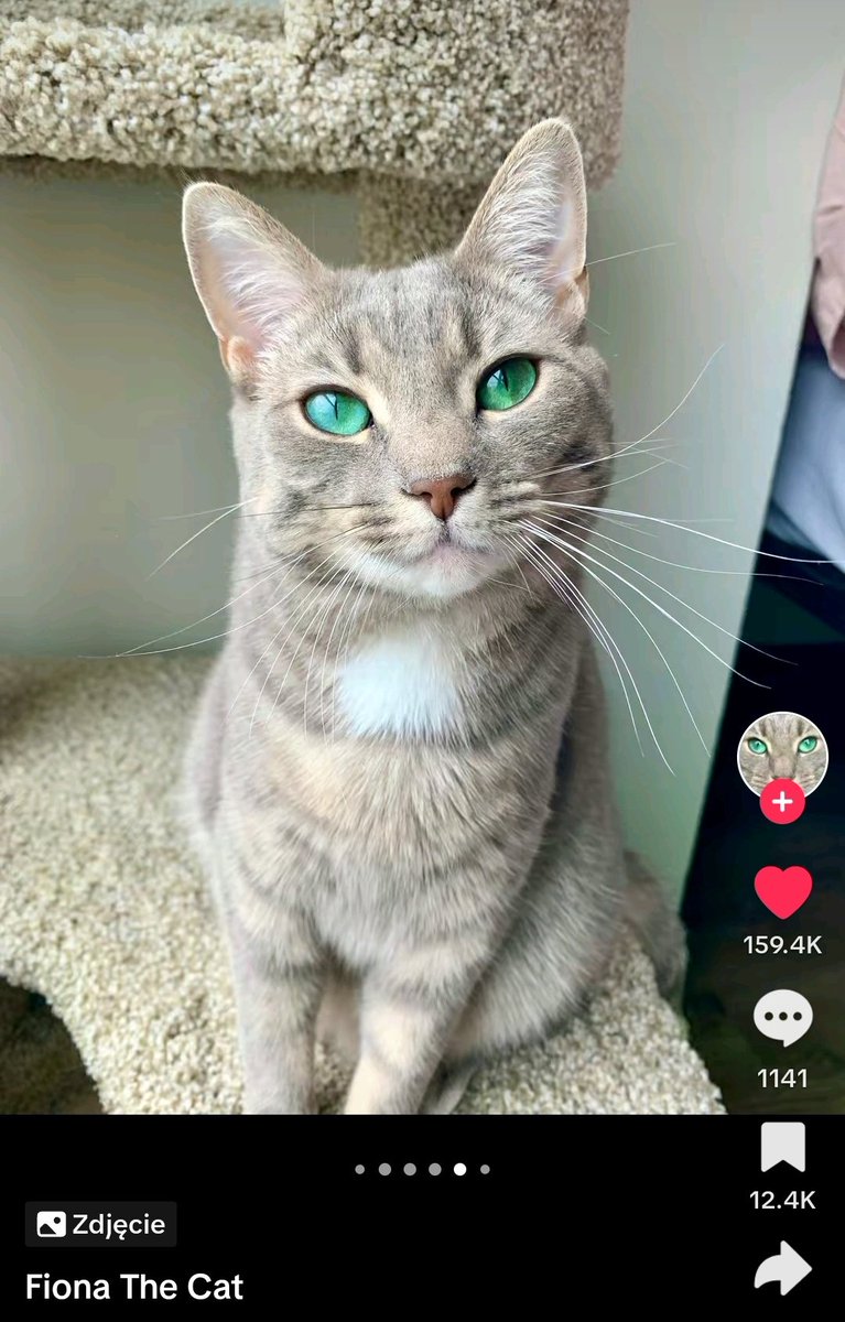 Czy Wy widzicie te piękne oczy 🫣😍