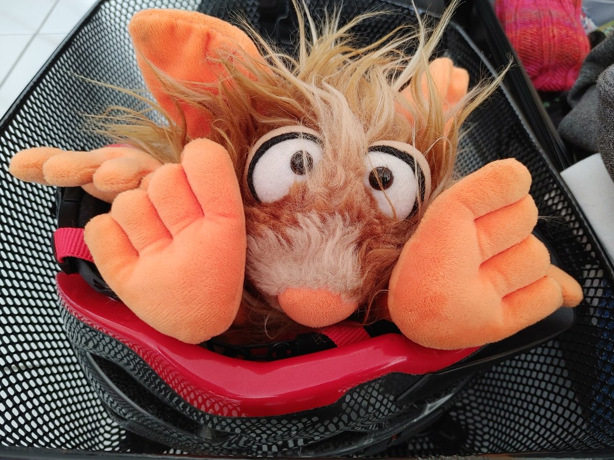 Schon mal sicherstellen dass sie mich nicht wieder mit dem Froggo alleine lassen.