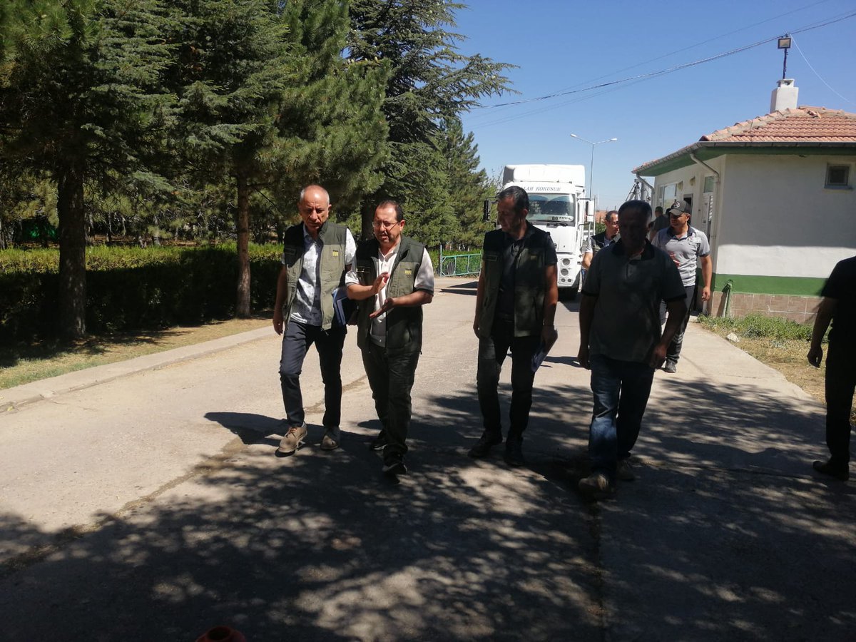 cihansoyalp's tweet photo. #Kırşehir/ #Akpınar 
Kapalı depolar doldu, alımlarımız açık yığınlara devam ediyor.
Kaman yol ayrımında 40 bin tonluk lisanslı deponun (Hasanoğulları LD) hafta içinde devreye girmesini bekliyoruz. Alımlarımız hızlanacak.
#TM0
@OfisTMO 
@Ahmet_Guldal 
@rifattutar 
@YaylagulSoner https://t.co/L5IYQ8UgkO