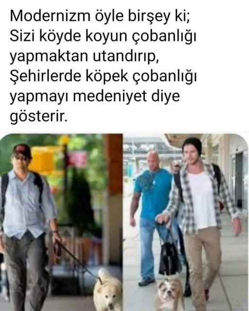 AyeMut5's tweet photo. https://t.co/DzjlUiaOjL