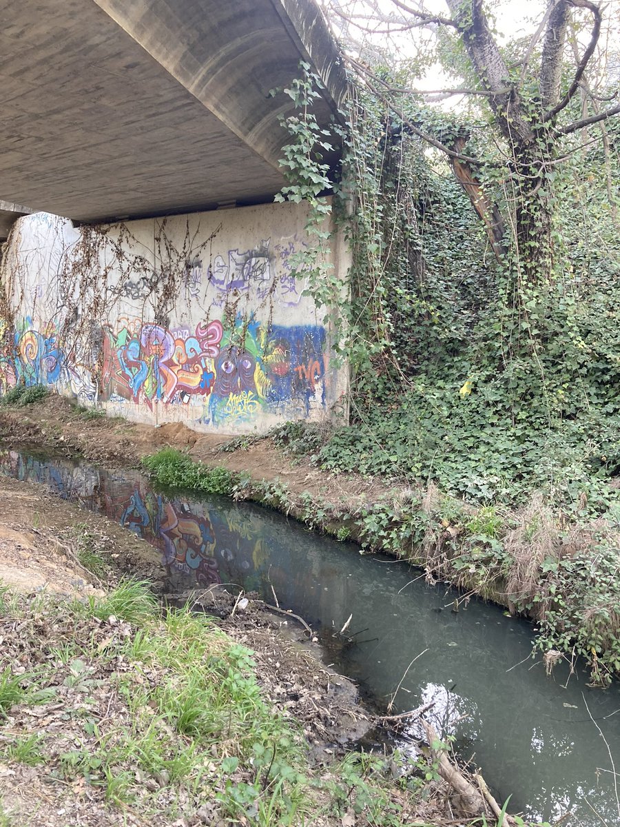 LesTorres_Rubi's tweet photo. @AjRubi Que os pensais que os lee gente q vive en suiza? Que teneis el municipio abandonado !!! Hijos mios https://t.co/nkiRssgzst