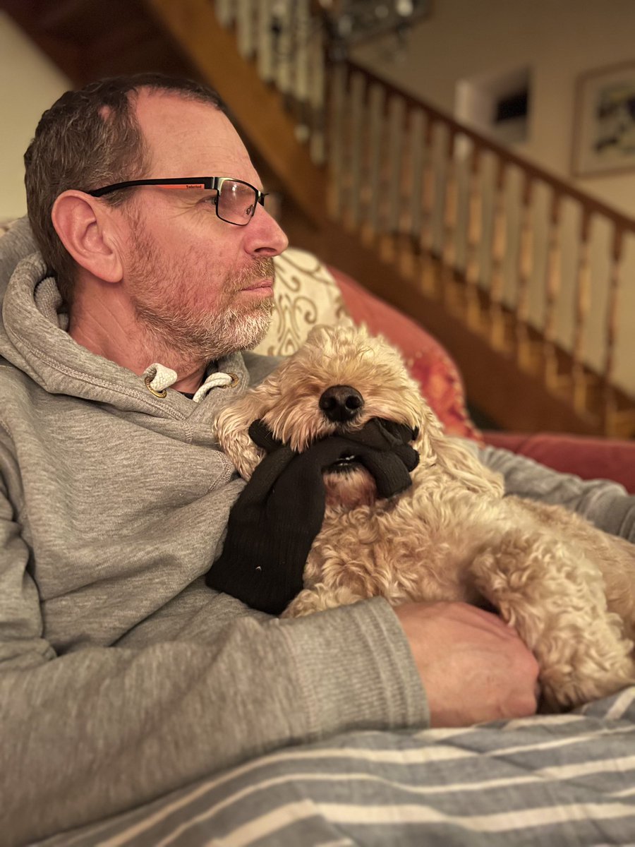 CA404679's tweet photo. When all you need in life is love and a glove #love #glove #cockerpoo #jackthedog #thejackandalexshow #france #lifegoals https://t.co/KJXUrUDm63